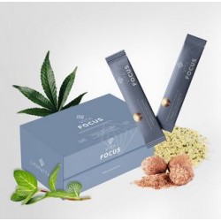 Vita Focus LavaVitae